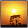 Africa, Sunset, 