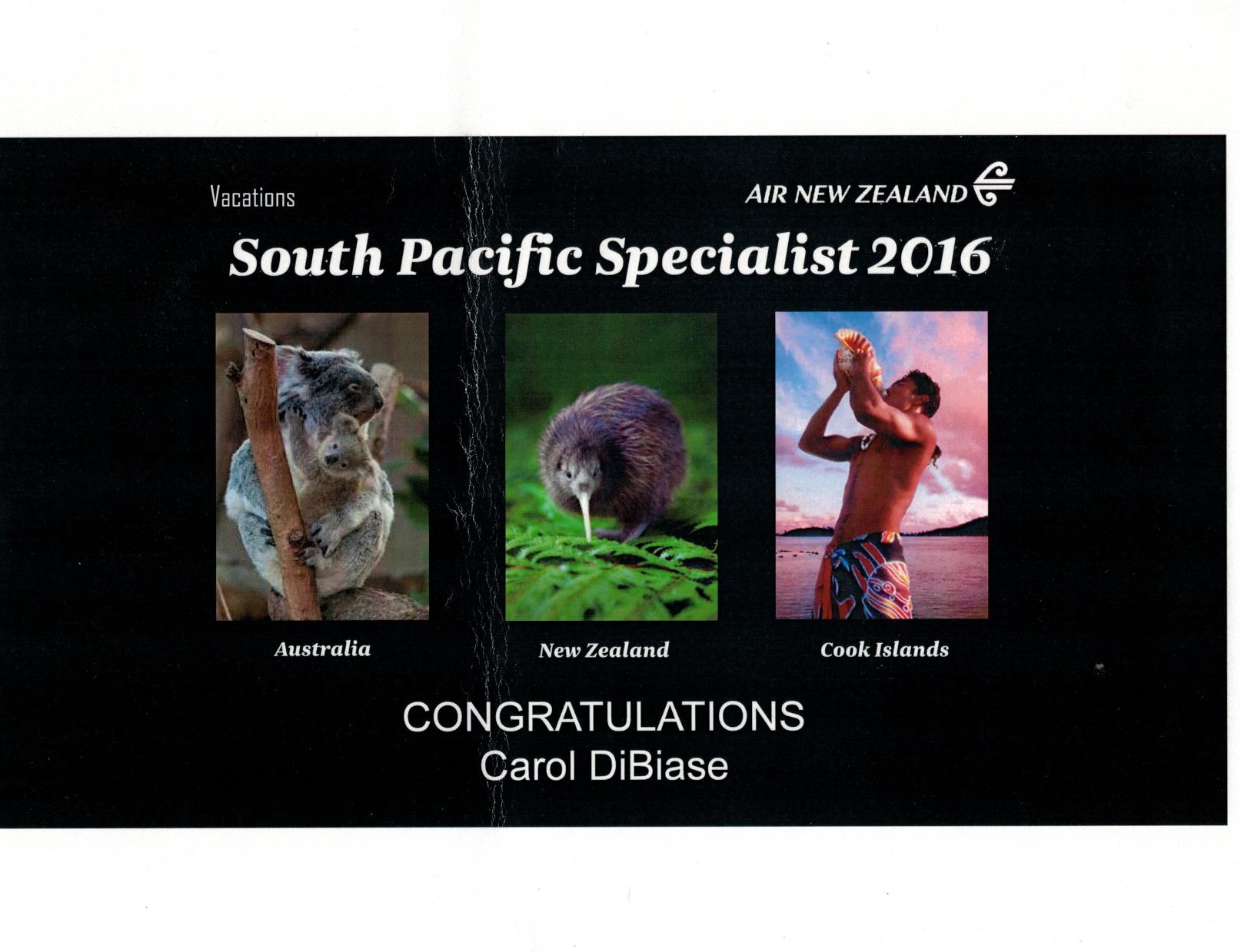 South Pacific Specialist