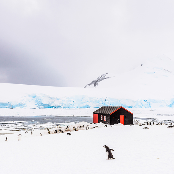 Port Lockroy