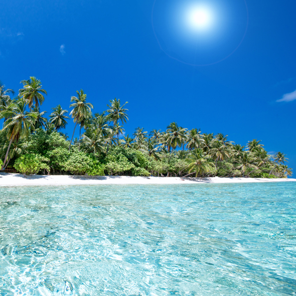 Egg Island