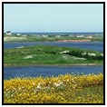 L'Anse Aux Meadows