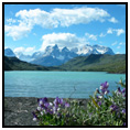 Seno Eyre Fjord
