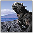 Isla Rabida