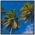 Yasawa Island
