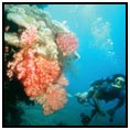 Satawal Island