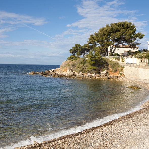 Bandol