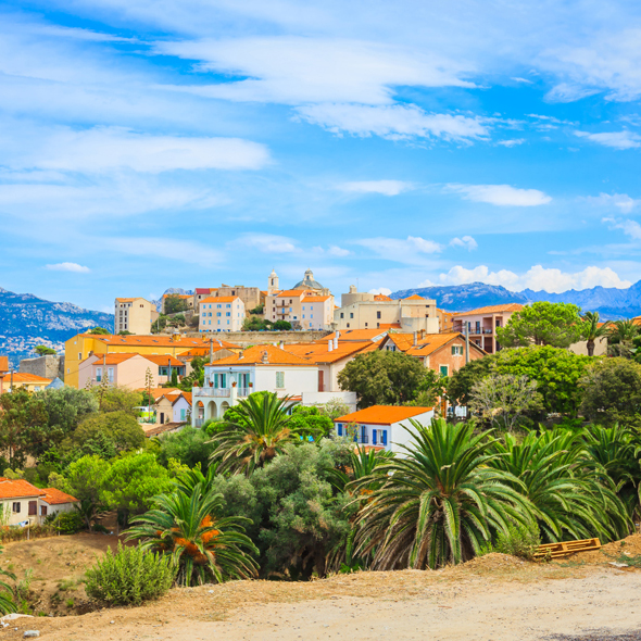Calvi