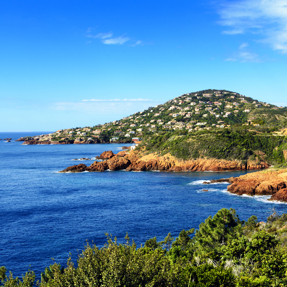Saint Raphael
