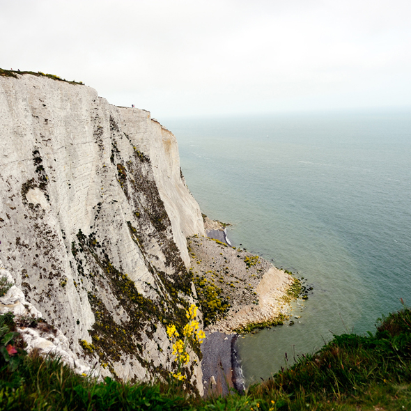 Dover