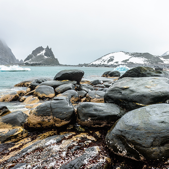 Elephant Island