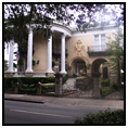 Savannah