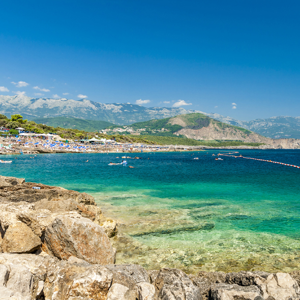 Ploce