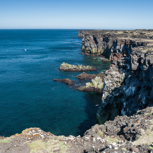 Hornbjarg Bird Cliffs