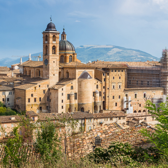Urbino