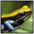Toamasina