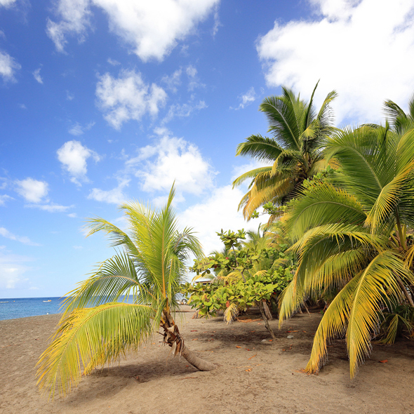 Martinique
