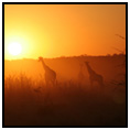 Walvis Bay