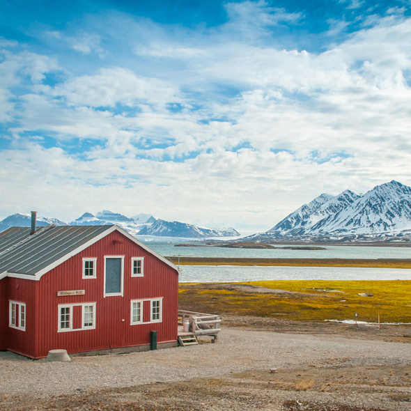 Ny Alesund