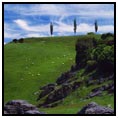 Dunedin