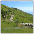 Gisborne