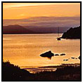 Stewart Island