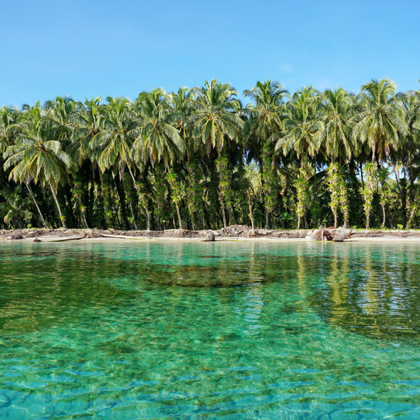 Bocas Del Toro