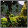 Fatu Hiva
