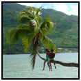 Moorea