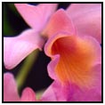 Nuku Hiva