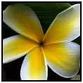 Nuku'alofa