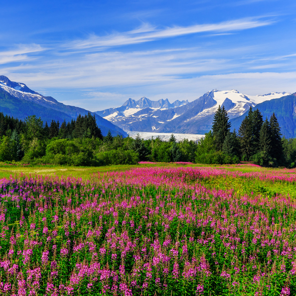 Juneau
