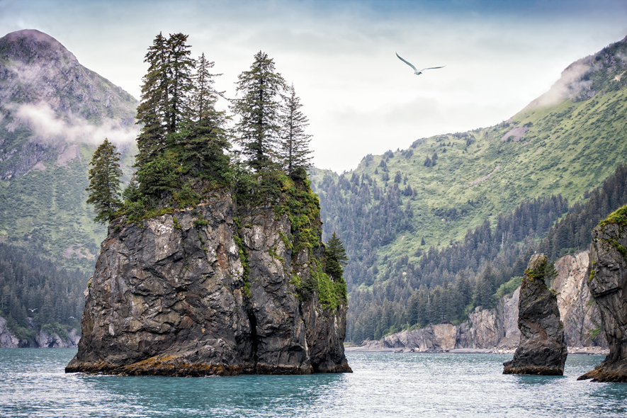 Kenai Fjords