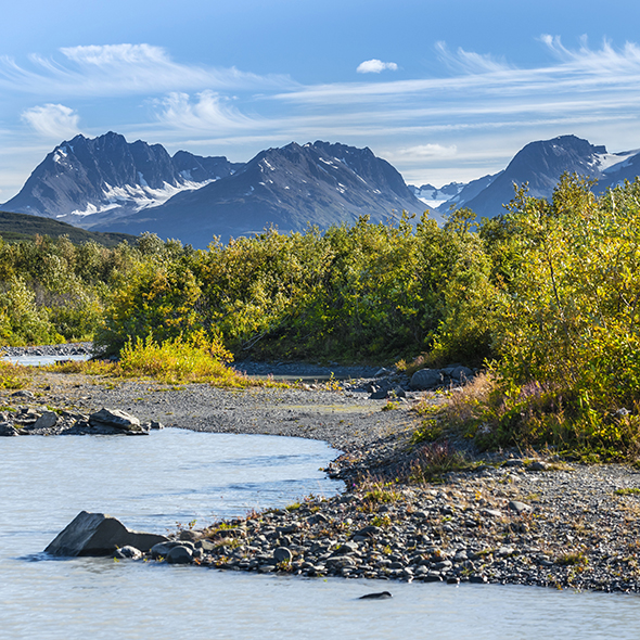Valdez