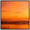 Long Beach