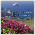 Monterey