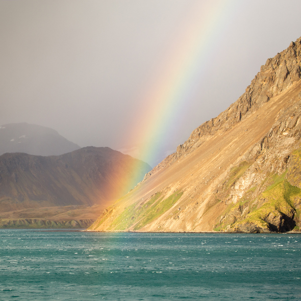 Grytviken