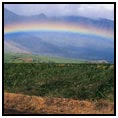 Kahului