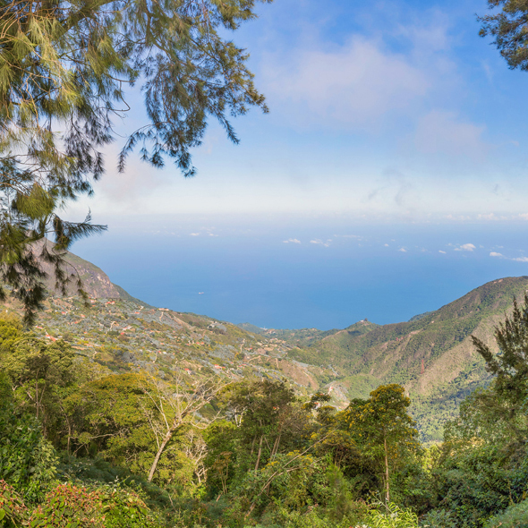 La Guaira