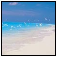 Champagne Bay
