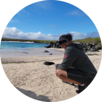 Anna-Maria Steverson